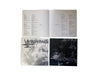 Linkin Park - Papercuts (Limited Edition Black & Red Splatter Colored Vinyl)