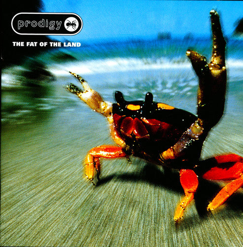 The Prodigy - Fat Of The Land [LP] - Pale Blue Dot Records
