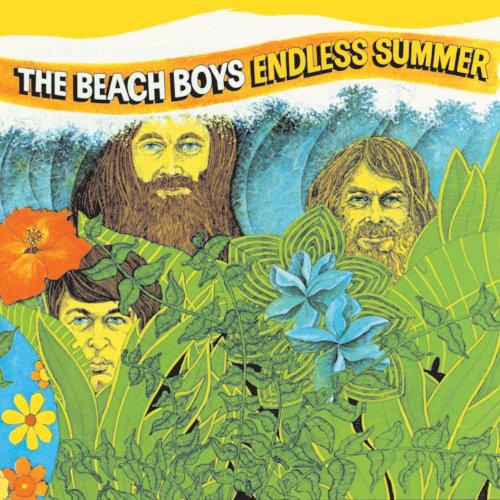 the album cover for The Beach Boys - Endless Summer
