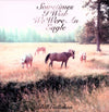 the album cover for Bill Callahan - Sometimes I Wish We Were An Eagle [Import]