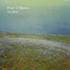 the album cover for Port Obrien - Threadbare [180 Gram]