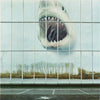 the album cover for Black Mountain - Wilderness Heart