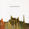 the album cover for Colour Revolt - Colour Revolt [Limited Edition] [180 Gram]