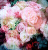 the album cover for Craft Spells - Idle Labor