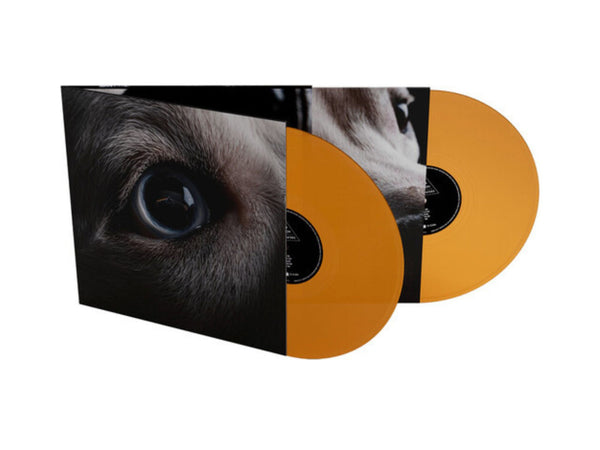Roger Waters - The Dark Side Of The Moon Redux (Limited Orange Vinyl, 2x LP) - Pale Blue Dot Records
