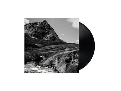 Andrew Bird - Outside Problems (Vinyl LP)