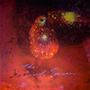 the album cover for Monopoly Child Star Searchers - The Garnet Toucan