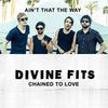 the album cover for Divine Fits - Chained to Love