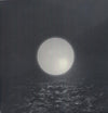 the album cover for Braids - Flourish // Perish [Vinyl]
