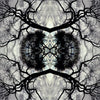 the album cover for Adam Rudolph - Sonic Mandala Go: Organic Orchestra