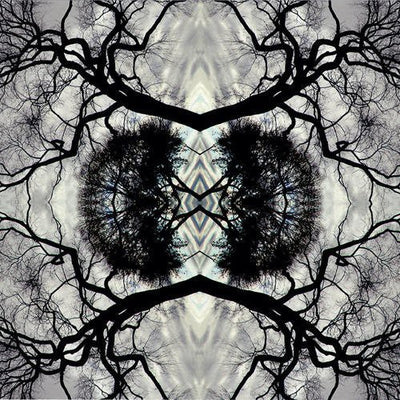 the album cover for Adam Rudolph - Sonic Mandala Go: Organic Orchestra