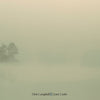 the album cover for Chris Campbell - Schooldays Over