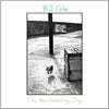 the album cover for BJ Cole - New Hovering Dog