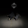 the album cover for Lost In The Trees - Past Life [Vinyl]