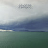Modest Mouse - Fruit That Ate Itself (Vinyl LP) - Pale Blue Dot Records