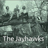 the album cover for The Jayhawks - Tomorrow The Green Grass [Vinyl]
