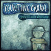 the album cover for Counting Crows - Somewhere Under Wonderland [LP]
