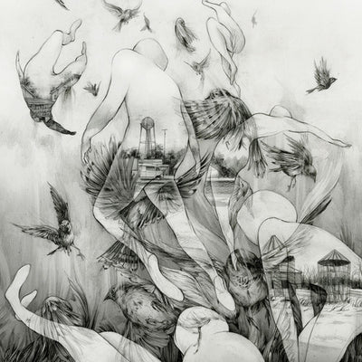 the album cover for Mono - The Last Dawn [Vinyl]