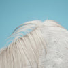 the album cover for Widowspeak - All Yours [Vinyl]