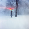 the album cover for Express Rising - Fixed Rope [Vinyl]