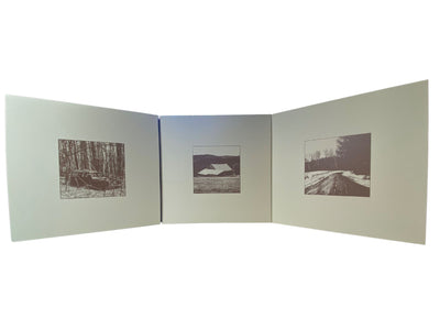 Noah Kahan - Stick Season (We'll All Be Here Forever) [Limited Edition Black Ice Colored 3xLP]