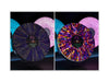 Vylumi Sparq (Illuminated, Interactive Record Display) - Pale Blue Dot Records
