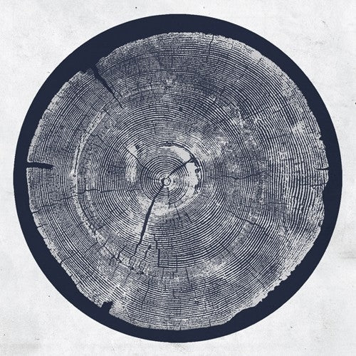 the album cover for Roy Montgomery - R: Tropic Of Anodyne