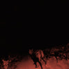 the album cover for Bambara - Shadow On Everything [LP]