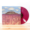 the album cover for Post Animal - When I Think Of You In A Castle [LP]