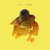 the album cover for P.O.S. - Chill, Dummy [2 LP]
