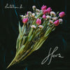 Her's - Invitation To Her's [LP] - Pale Blue Dot Records