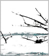 the album cover for Tenhi - Vare (Blk) [Limited Edition] [180 Gram]