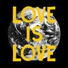 the album cover for Woods - Love Is Love [LP]
