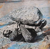the album cover for Forest Swords - Compassion [Indie Exclusive Deluxe LP]