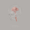 the album cover for Sleep Party People - Lingering [LP]