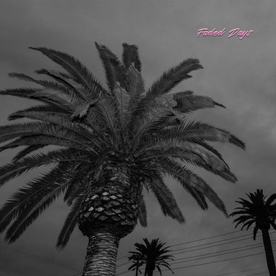 the album cover for Actual Wolf - Faded Days