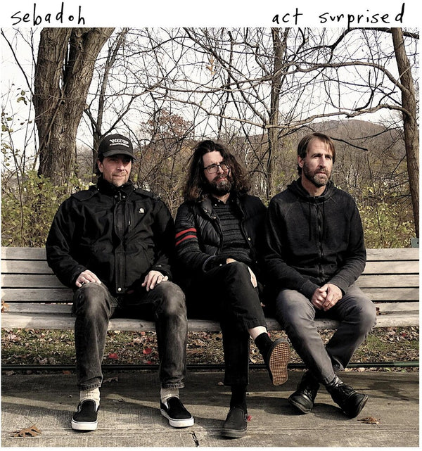 the album cover for Sebadoh - Act Surprised [LP]