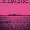 the album cover for Ikebe Shakedown - Kings Left Behind [LP]