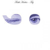 the album cover for Faith Healer - Try ;-)