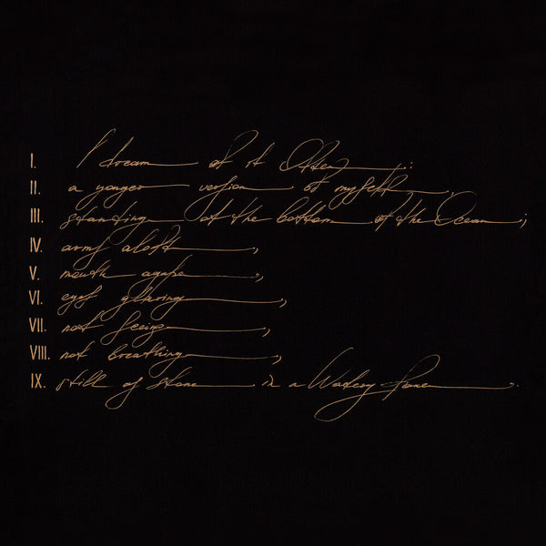 the album cover for Telefon Tel Aviv - Dreams Are Not Enough