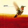 Guster - Keep It Together [LP] - Pale Blue Dot Records