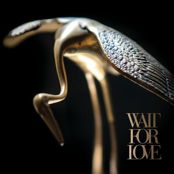 the album cover for Pianos Become The Teeth - Wait For Love [Colored Vinyl]
