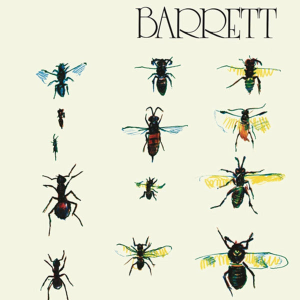 the album cover for Syd Barrett - Barrett [Vinyl]