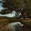 the album cover for S. Carey - Hundred Acres [Import LP]