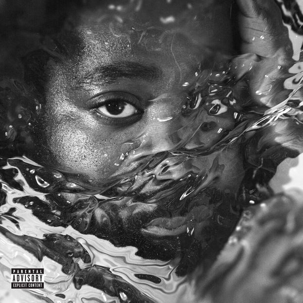 the album cover for R.Lum.R - Surfacing [LP]