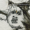 the album cover for Grizzly Bear - Horn Of Plenty (Reissue) (Color Vinyl) [Clear Vinyl]