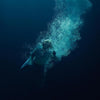 the album cover for Lapsley - Through Water [Deluxe LP+7in]