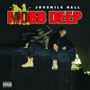 the album cover for Mobb Deep - Juvenile Hell