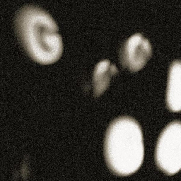 the album cover for No Age - Goons Be Gone [LP]