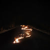 the album cover for Bob Moses - Battle Lines [LP]